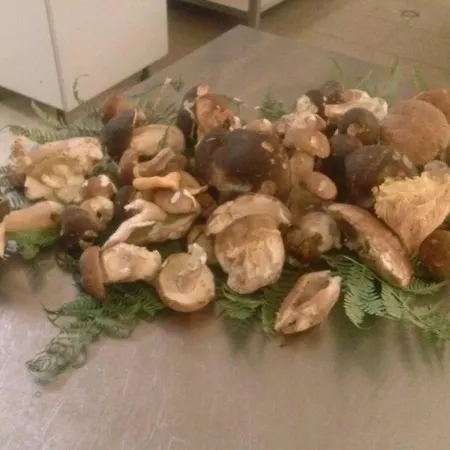 Ξενοδοχείο Ristorante Tesoro